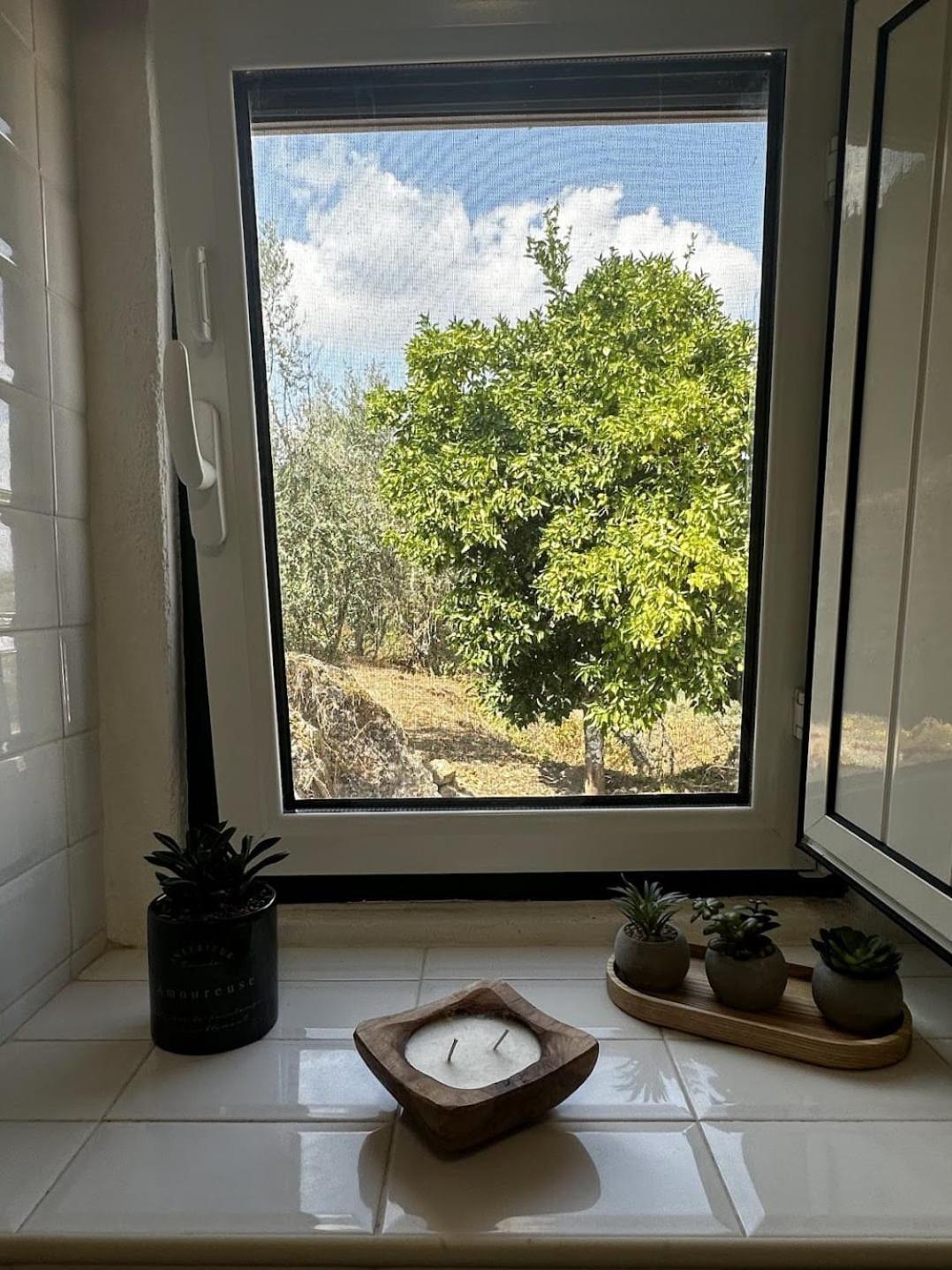הוילה Belver  Casa Do Castelo מראה חיצוני תמונה